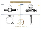 Montura Elsa Oro 14K