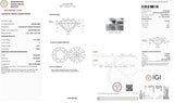 Diamante Laboratorio Desmontado Redondo IGI 1.13 CT